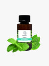 Mint Energy - 3 Meses de Fragancia